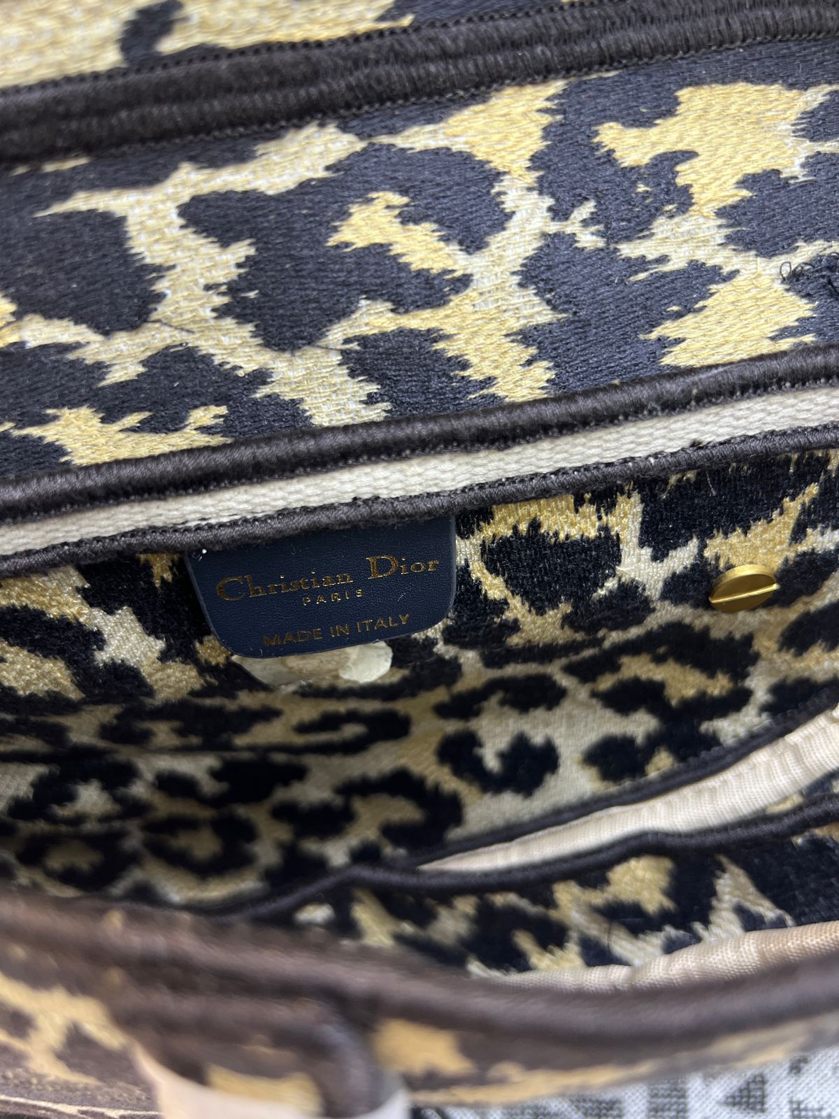 DIOR SADDLE "BORDADO ONÇA"