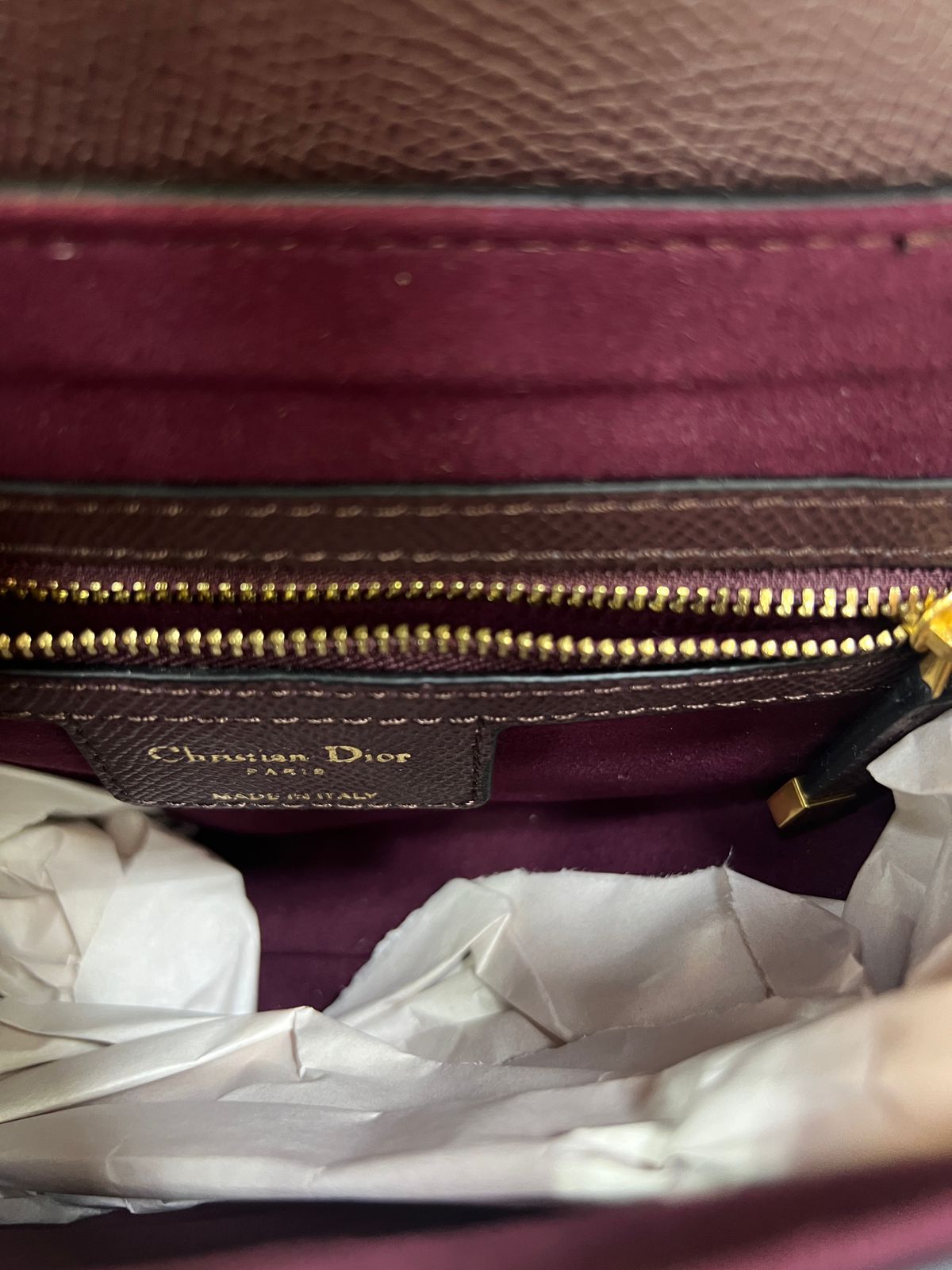 DIOR SADDLE VINHO